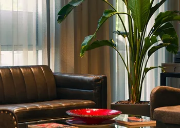 Art House Hotel and Suites hotel thumbnail 3