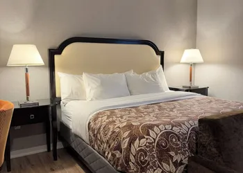 Big Bird Inn Wawa, SureStay Collection by Best Western hotel thumbnail 5