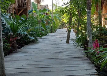 Uman Glamping & Cenote Tulum hotel thumbnail 8