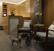 Reforma Guest House hotel detail image 3