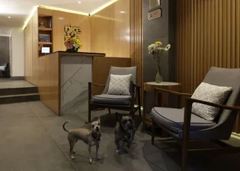 Reforma Guest House hotel thumbnail 3