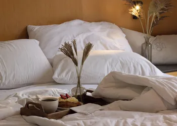 Reforma Guest House hotel thumbnail 6