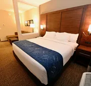 Comfort Suites Newnan hotel detail image 5