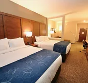 Comfort Suites Newnan hotel detail image 7