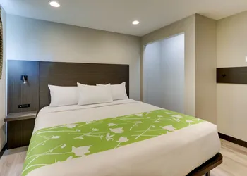 The Shamrock hotel thumbnail 2