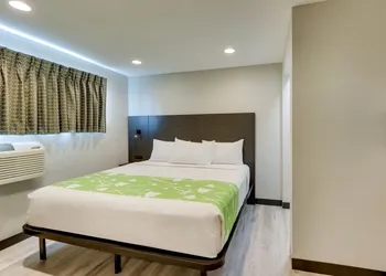 The Shamrock hotel thumbnail 3