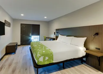 The Shamrock hotel thumbnail 4