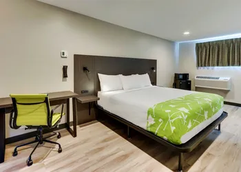 The Shamrock hotel thumbnail 5