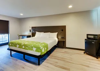 The Shamrock hotel thumbnail 6