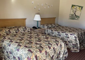 All Star Inn hotel thumbnail 4