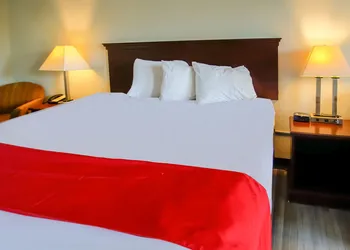 Cypress Inn & Suites Washington - Chocowinity NC By OYO hotel thumbnail 5