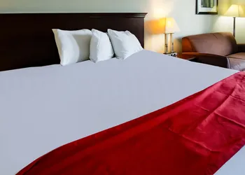 Cypress Inn & Suites Washington - Chocowinity NC By OYO hotel thumbnail 7