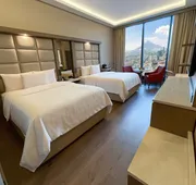 Safi Royal Luxury Metropolitan hotel detail image 7
