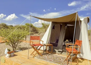 ZenZontle GlampingSMA By Rotamundos hotel thumbnail 2