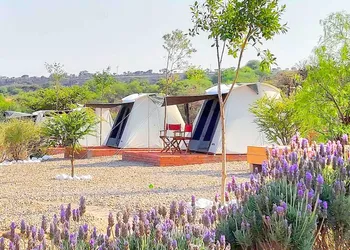 ZenZontle GlampingSMA By Rotamundos hotel thumbnail 3