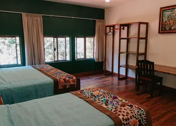 Hotel Boutique Finca de la Niebla Coatepec hotel thumbnail 2