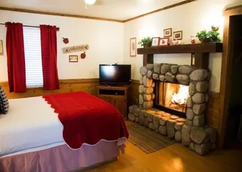 Sleepy Forest Cottages hotel thumbnail 6