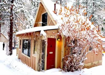 Sleepy Forest Cottages hotel thumbnail 7