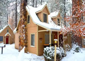 Sleepy Forest Cottages hotel thumbnail 8