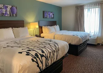 Sleep Inn & Suites - Coliseum Area hotel thumbnail 7