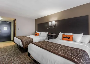 VetteCity Hotel hotel thumbnail 6