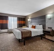 VetteCity Hotel hotel detail image 7