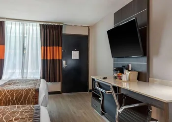 VetteCity Hotel hotel thumbnail 8