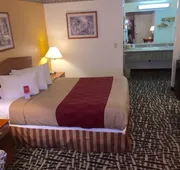 Executive Inn hotel detail image 4