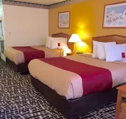 Executive Inn hotel detail image 5