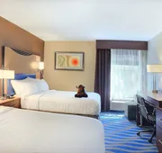 Holiday Inn Cody - Convention Center by IHG hotel detail image 5