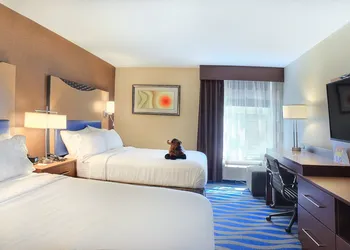 Holiday Inn Cody - Convention Center by IHG hotel thumbnail 5
