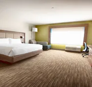 Holiday Inn Express & Suites Houston SW - Galleria Area by IHG hotel detail image 3