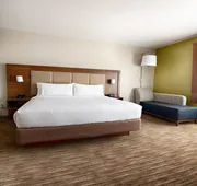 Holiday Inn Express & Suites Houston SW - Galleria Area by IHG hotel detail image 7