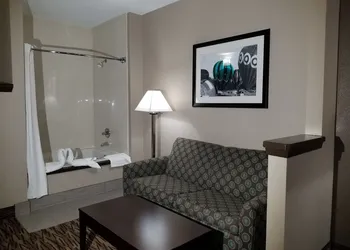 Comfort Suites Plano East - Richardson hotel thumbnail 6
