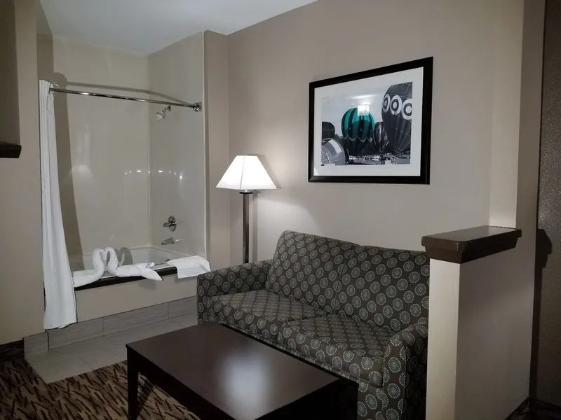 Comfort Suites Plano East - Richardson hotel detail image 6