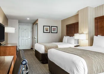 Comfort Inn & Suites Sturbridge - Brimfield hotel thumbnail 7