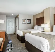 Comfort Inn & Suites Sturbridge - Brimfield hotel detail image 7