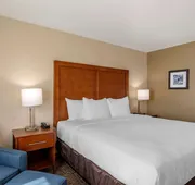 Comfort Inn & Suites Charlottesville Hollymead Town Center hotel detail image 7