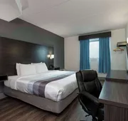 Comfort Hotel hotel detail image 7