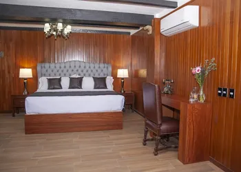 Hotel Boutique La Mansion Guadalajara hotel thumbnail 6