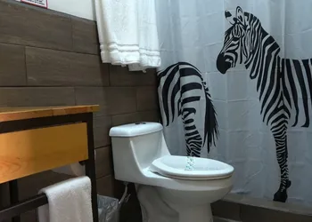 Hotel Baja hotel thumbnail 8