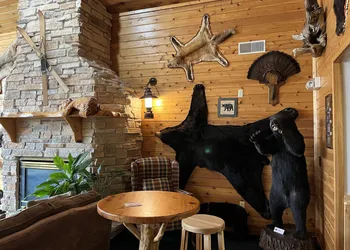 Boulder Bear Motor Lodge hotel thumbnail 5