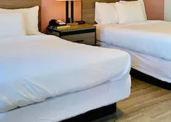 Econo Lodge Inn & Suites Abilene East District hotel thumbnail 7