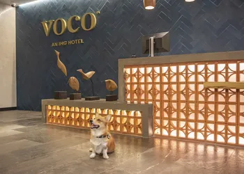 voco Guadalajara Neruda by IHG hotel thumbnail 5