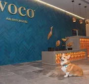 voco Guadalajara Neruda by IHG hotel detail image 7