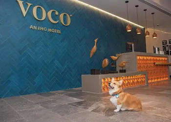 voco Guadalajara Neruda by IHG hotel thumbnail 7