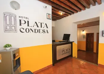Hotel Plata Condesa hotel thumbnail 4