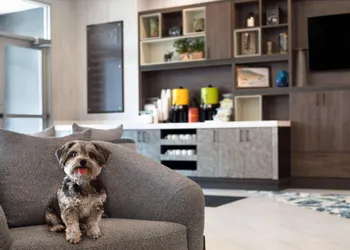 Home2 Suites by Hilton Huntsville hotel thumbnail 6