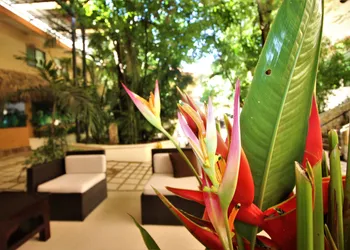 Maya Tulipanes Express hotel thumbnail 2