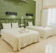 Maya Tulipanes Express hotel detail image 5